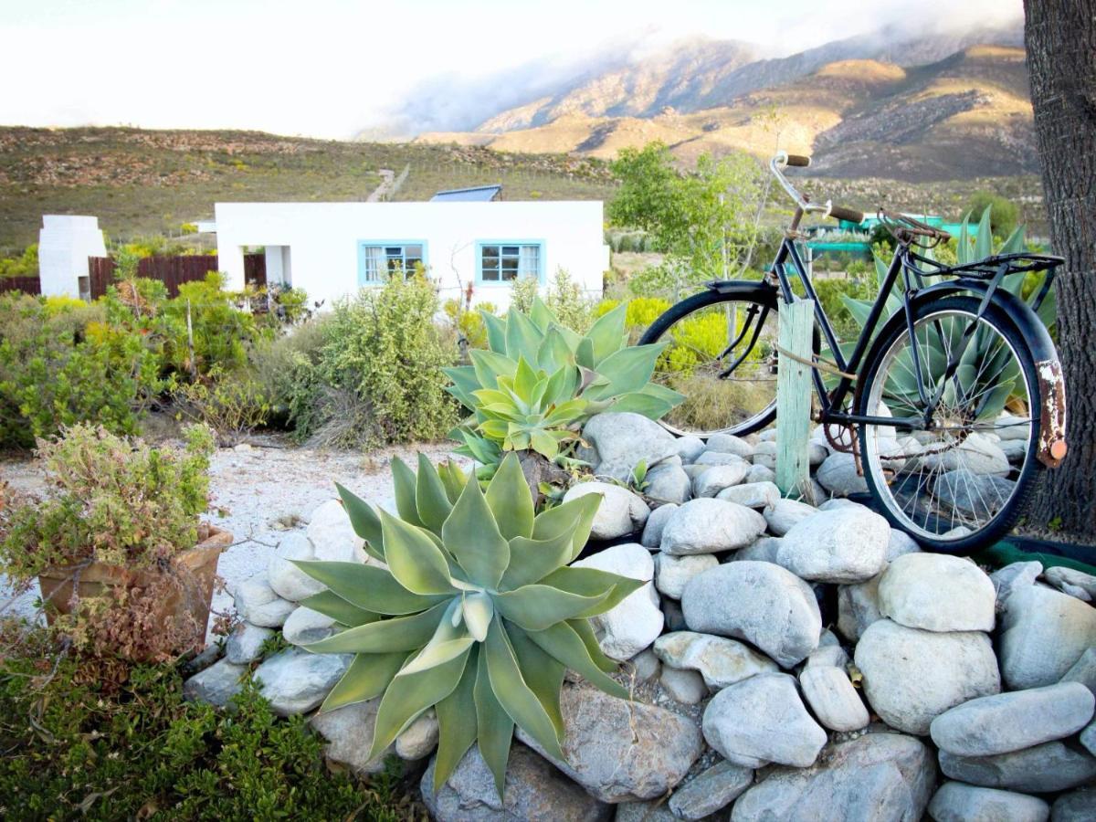 Starry Starry Night - Route 62 Villa Montagu Exterior foto