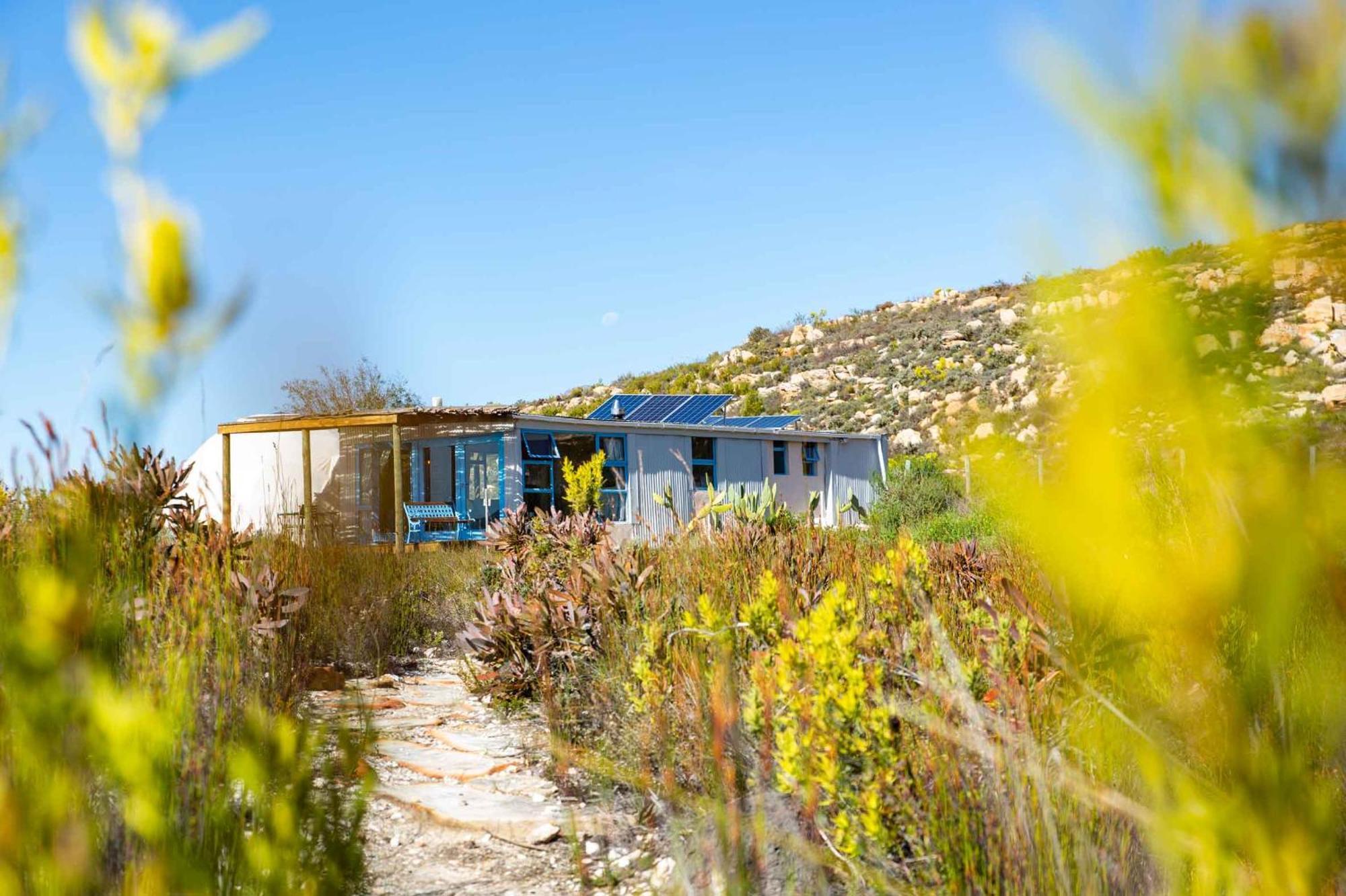 Starry Starry Night - Route 62 Villa Montagu Exterior foto